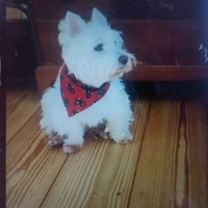 Meet your Posher, Jean